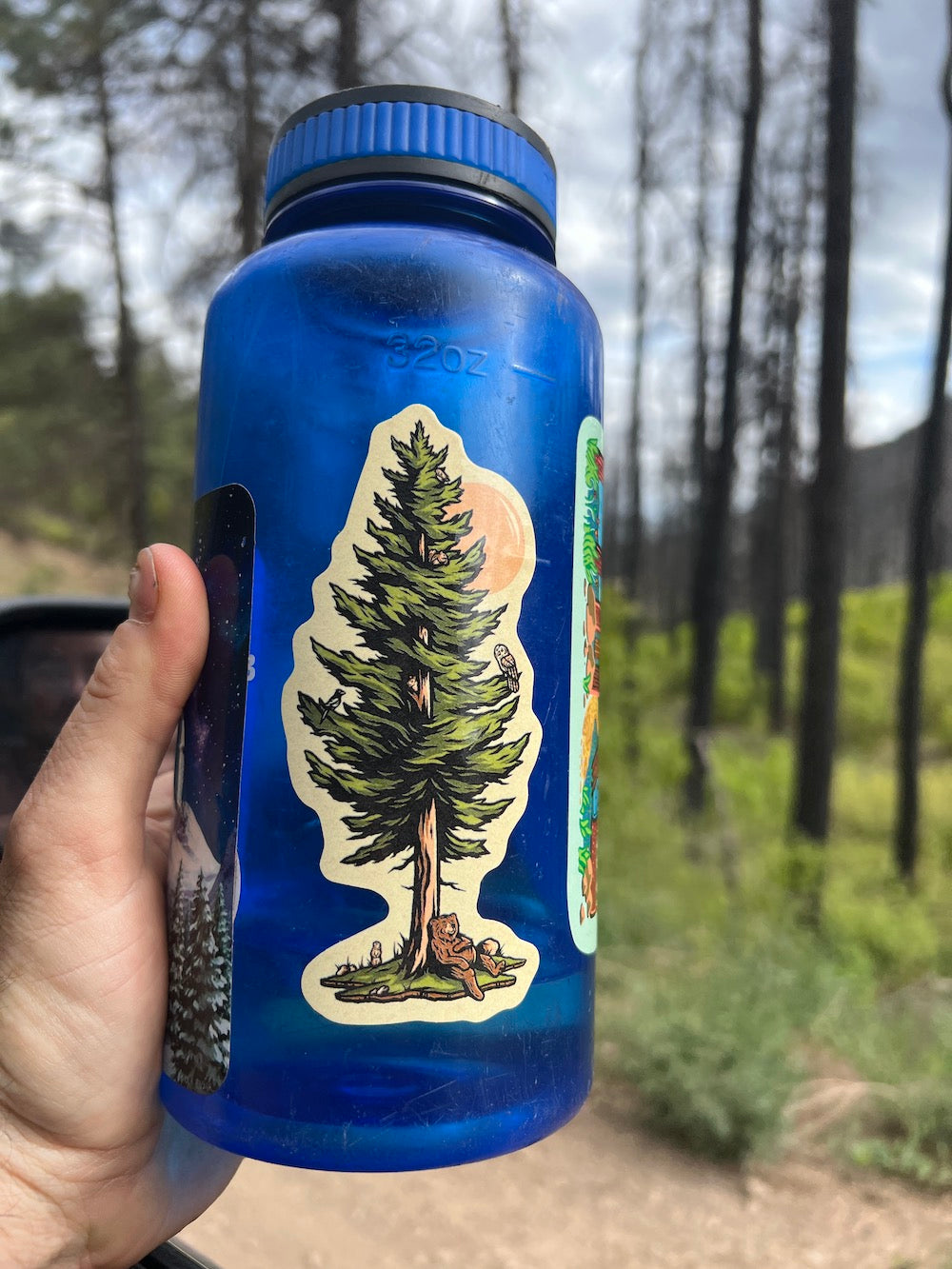 waterbottle sticker bears