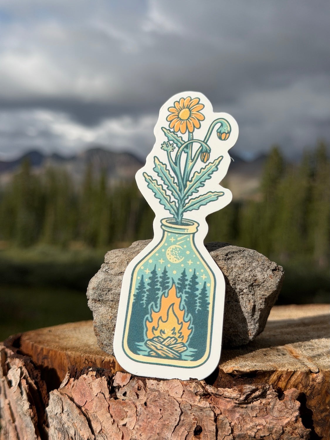 Hand holding the Campfire & Flowers sticker, a wildflower in a glass bottle with a campfire and stars