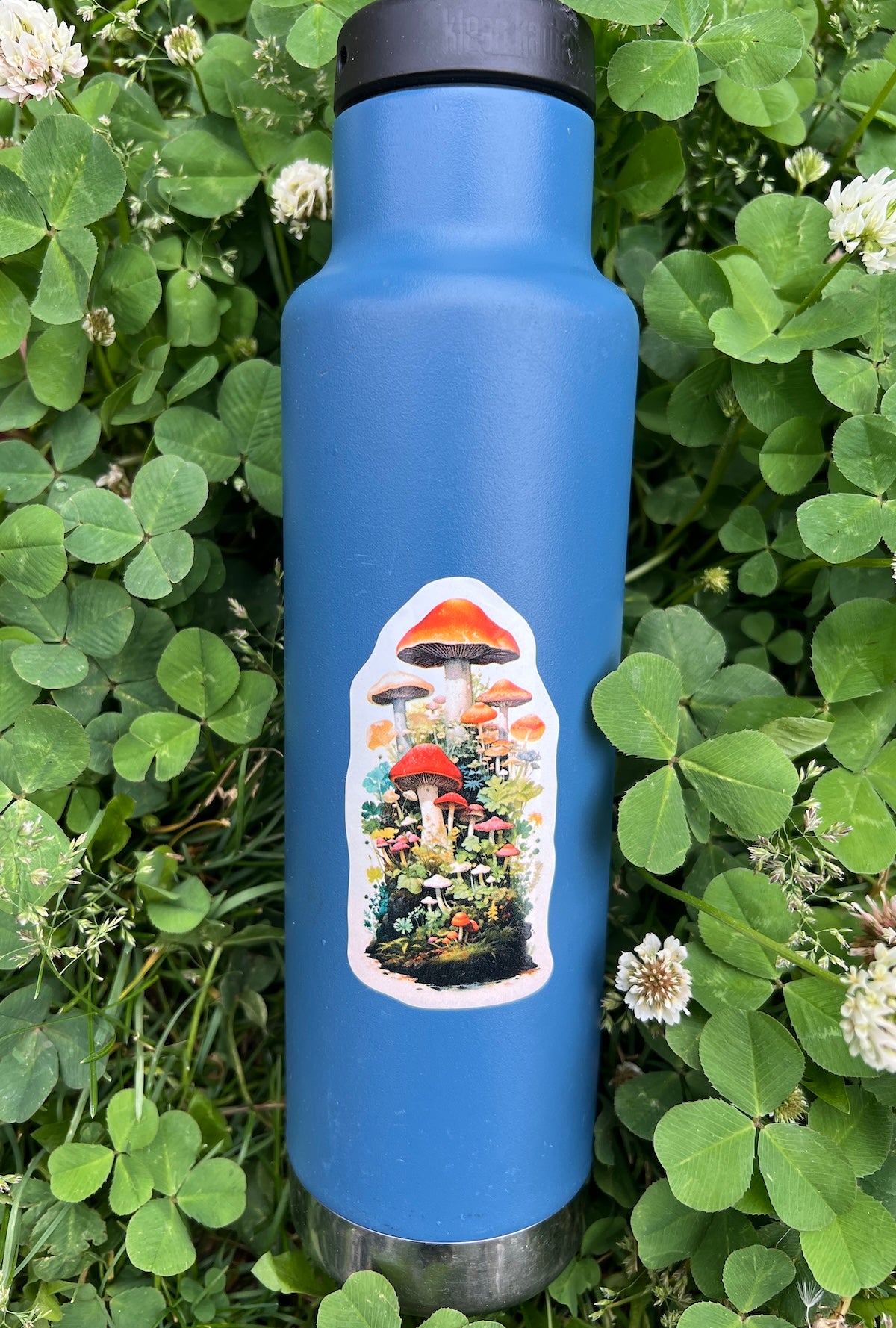 World Of Mushrooms Sticker