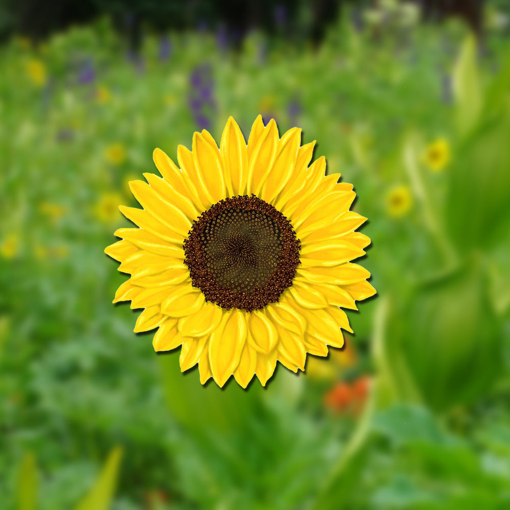 6 temporary flower tattoos