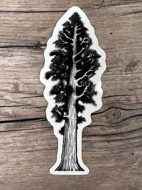 Lone Giant - Redwood Tree Sticker