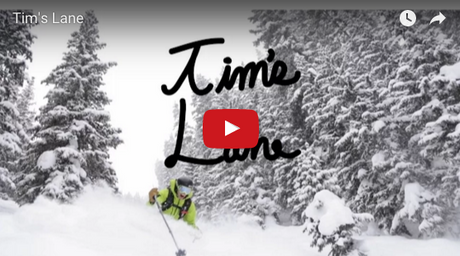 Tim's Lane