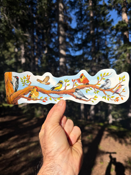 A hand holds a birding wrap around sticker, die cut sticker wrap featuring a colorful illustration of various birds perched on tree branches with autumn leaves, set against a blurred forest background.