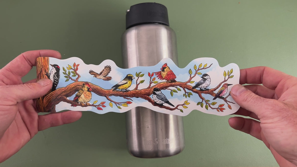 Bird Sticker Wrap