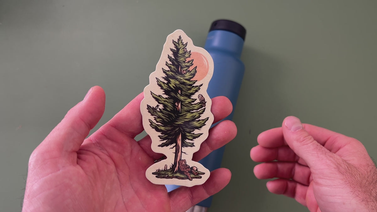 applying tree and bear sticker to a blue water bottle