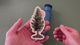applying tree and bear sticker to a blue water bottle